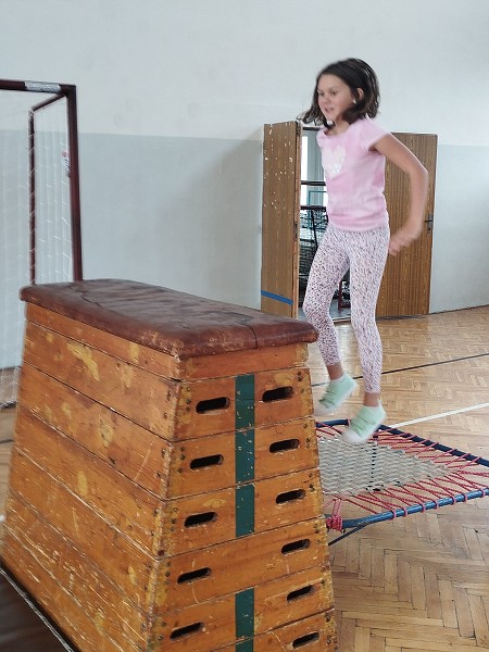 Překážková dráha