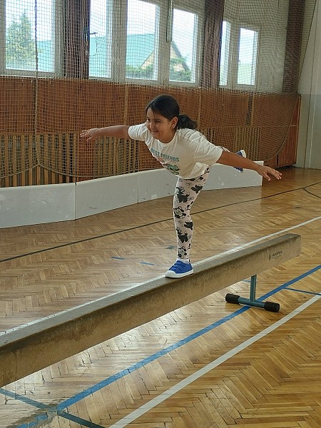 Překážková dráha