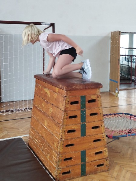 Překážková dráha