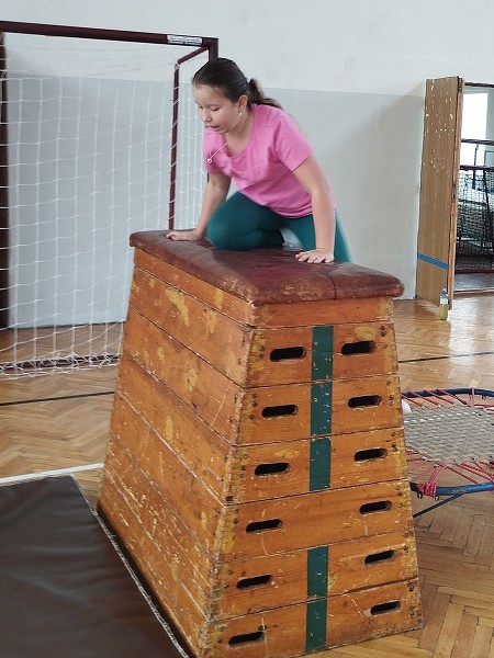 Překážková dráha