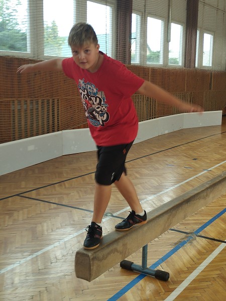 Překážková dráha